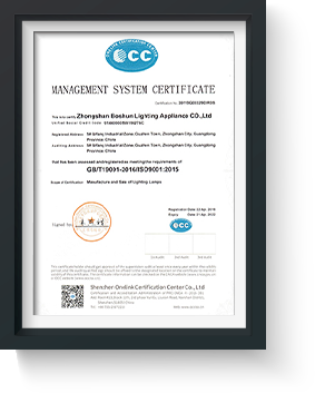 bosun lighting Solar Street Light iso9901 Certification